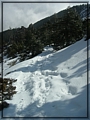 2011-03-08 09-31-12-進入雪山圈谷.JPG